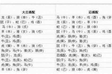 1982年属相|82年属什么 1982年五行属什么